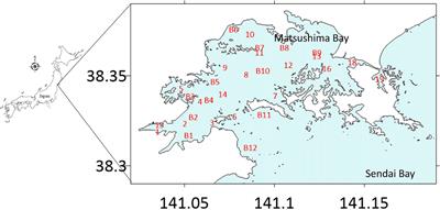 Influence of oyster and seaweed cultivation facilities on coastal environment and eukaryote assemblages in Matsushima Bay, northeastern Honshu, Japan